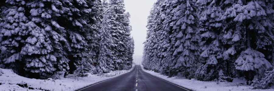 Snow Road Synthetic Oil