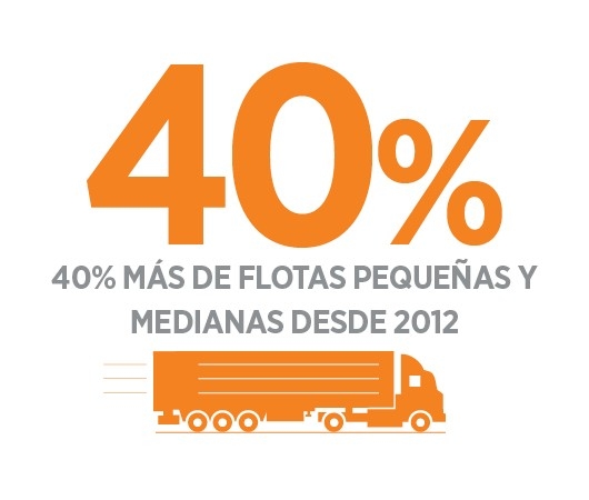 flotas pequeñas y medianas