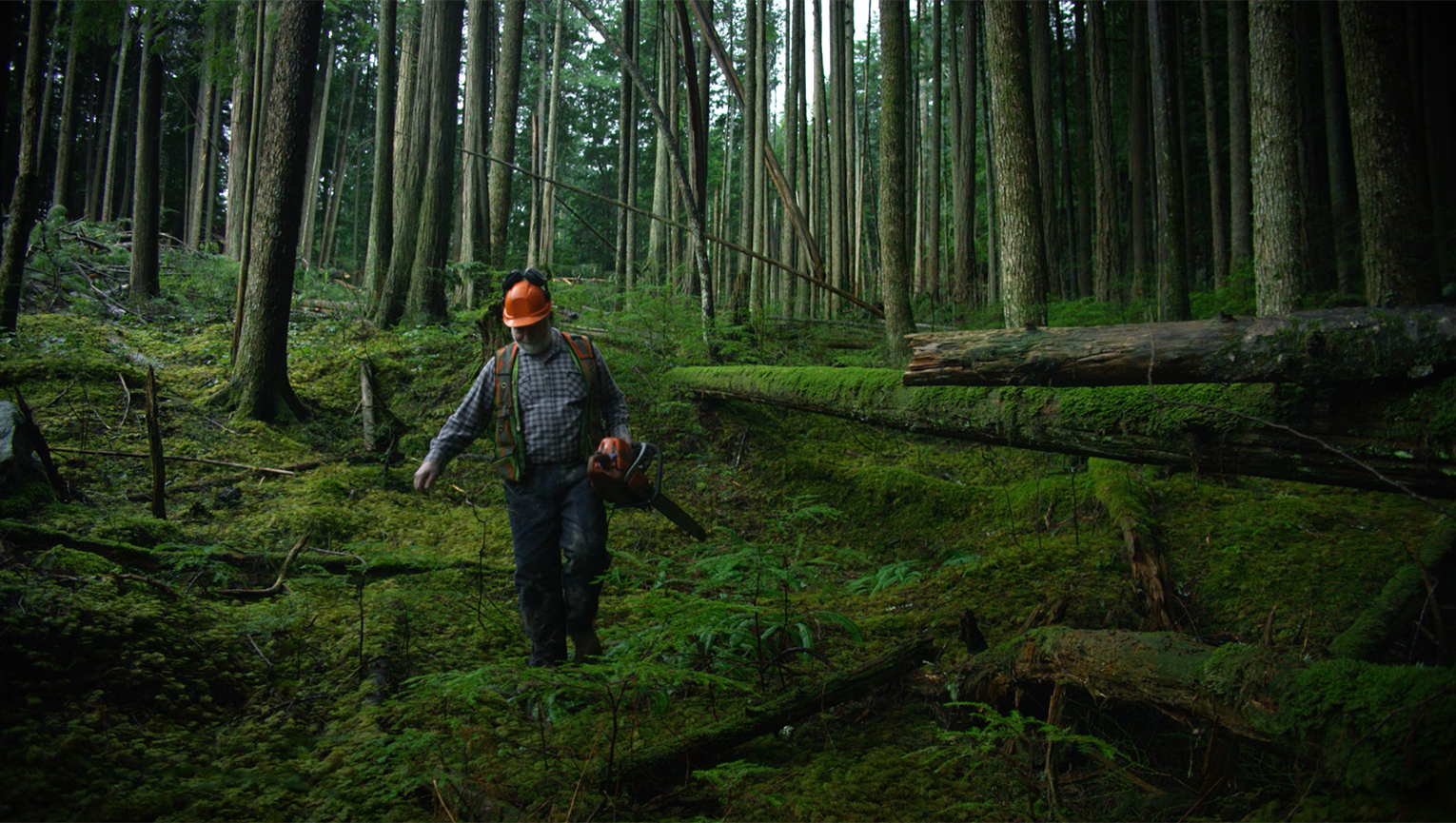 TRABAJOS POCO COMUNES REQUIEREN FUERZA POCO COMÚN